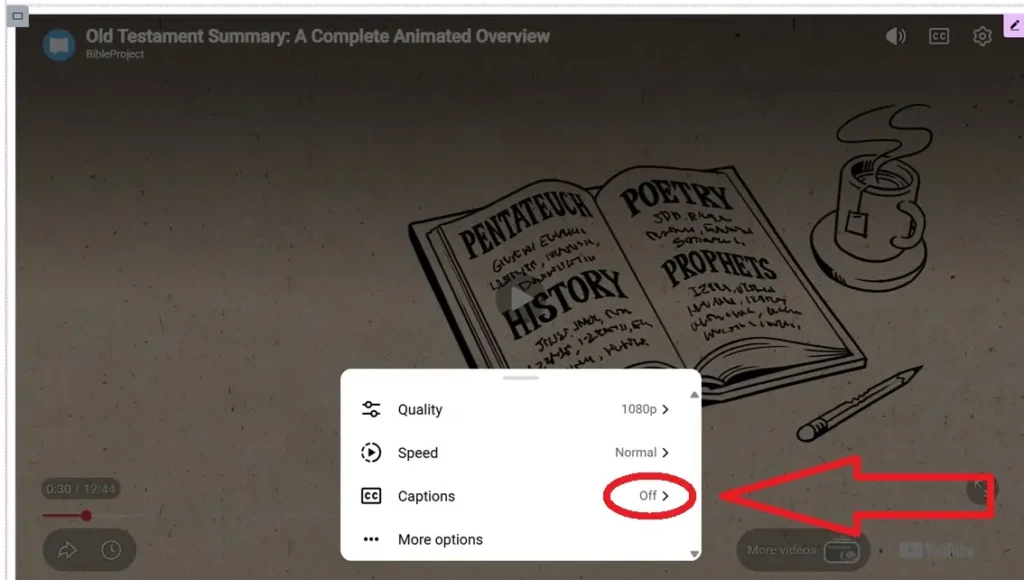 YouTube settings menu showing the Captions option set to Off, circled in red with an arrow pointing to it.
