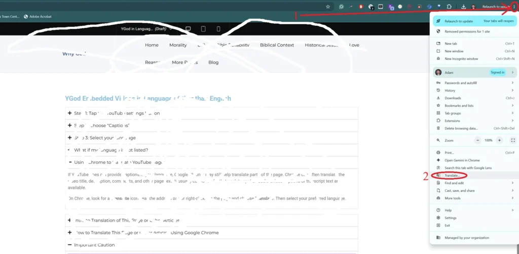 Google Chrome menu open with the Translate option circled, showing where to translate a webpage into another language.